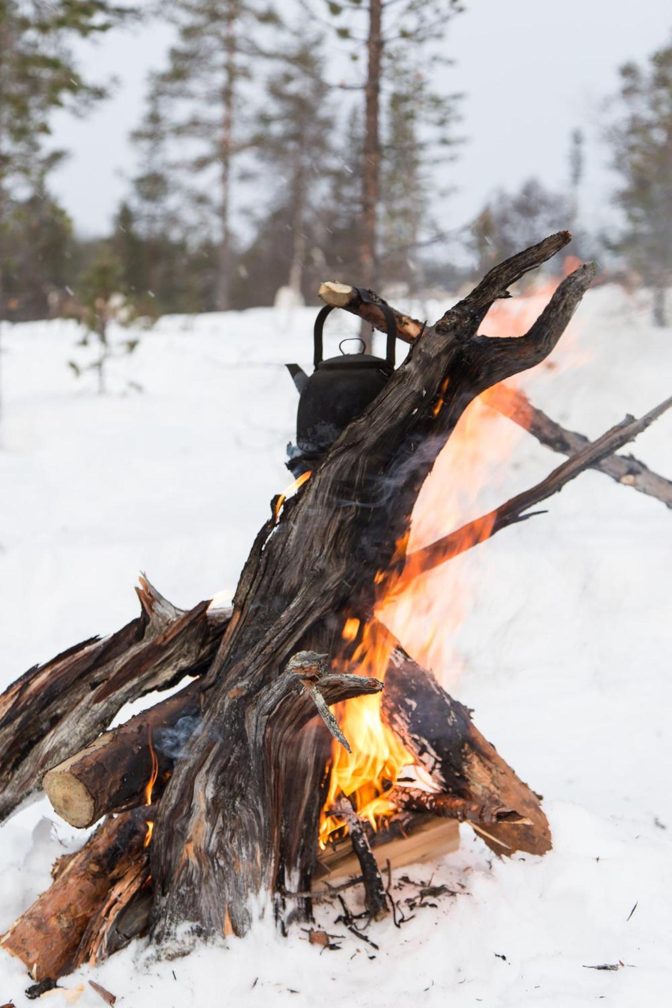 Crow Creek Cabins Инари Екстериор снимка